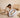 The Science of Supervised Baby Lounging: Comfort, Development, and Safer Everyday Support